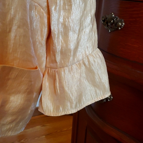 Yellow Jacket - Picture 3 of 4